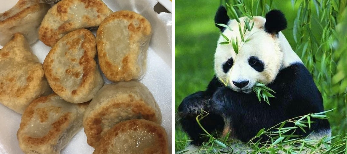 Panda Garden Menu