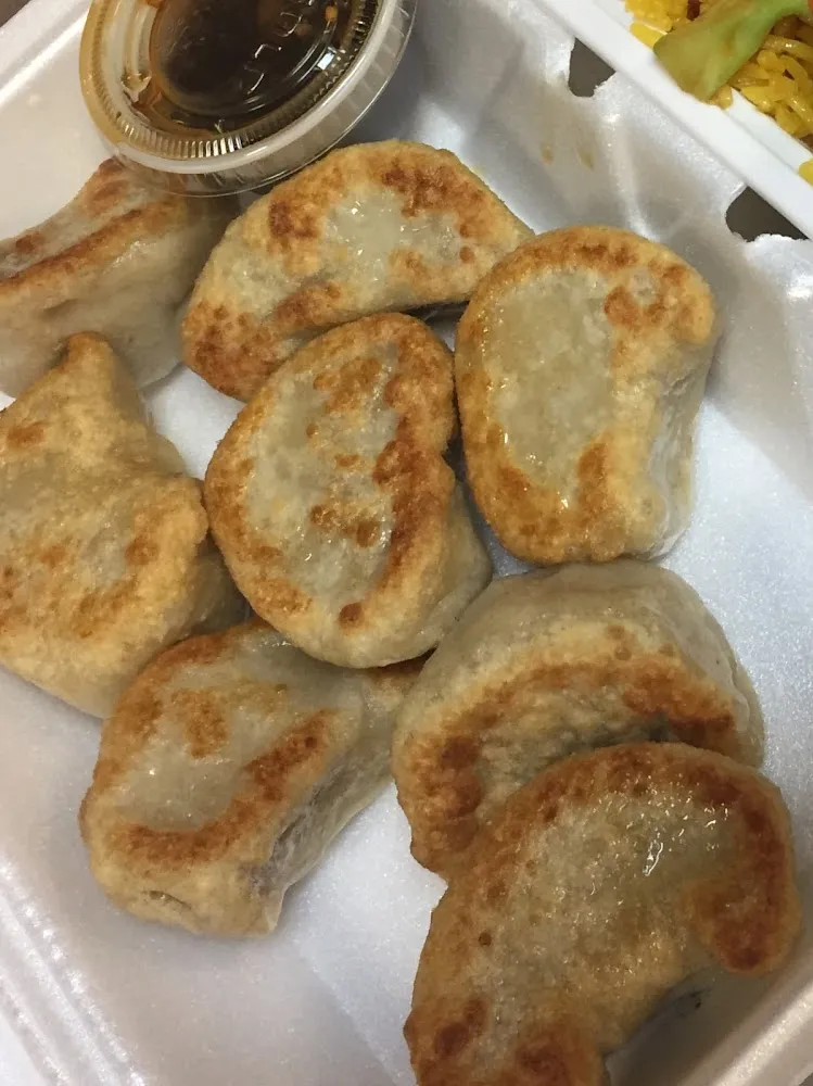 Pan Fried Pork Dumplings